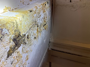 courthouse-basement-ceiling-cracking.jpeg