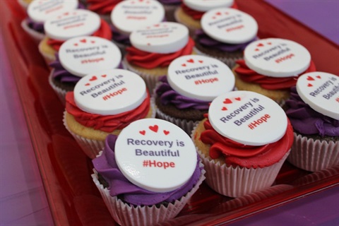 An image of cupcakes made for the Recovery Court program